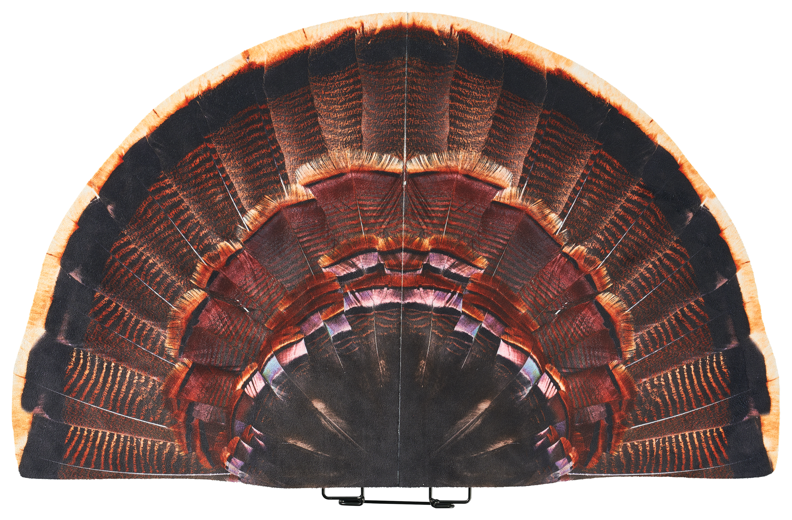 Cabela's Strutter Flocked Silhouette Turkey Fan | Bass Pro Shops